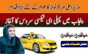 Hundreds of E-Taxis Announced on Interest-Free Installments in Punjab