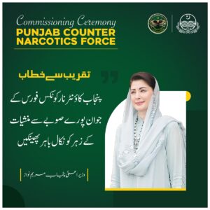 Jobs In Punjab Narcotics Force